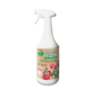 Chloris_Spray_1L