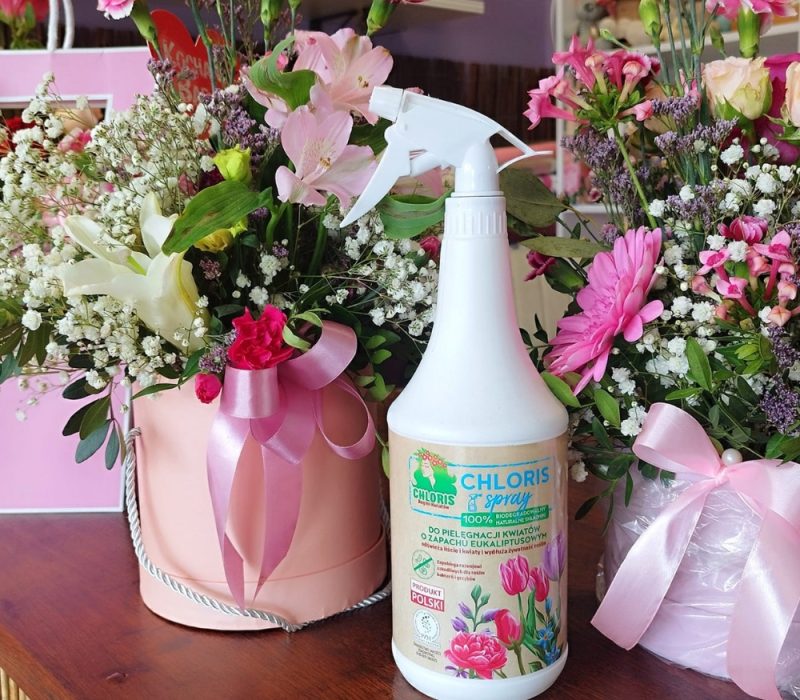 chloris spray (6)